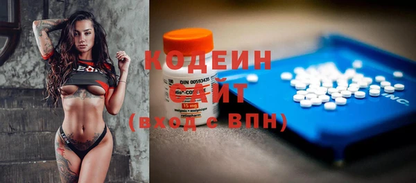 гашик Алексеевка