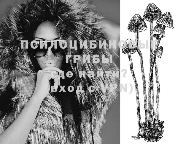 гашик Алексеевка