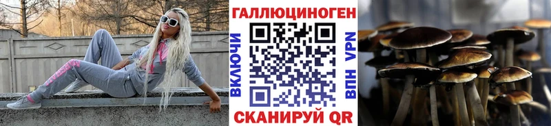 где купить наркоту  МЕГА ONION  Галлюциногенные грибы Psilocybine cubensis  Тейково 